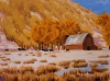 Aspens and Cottonwoods